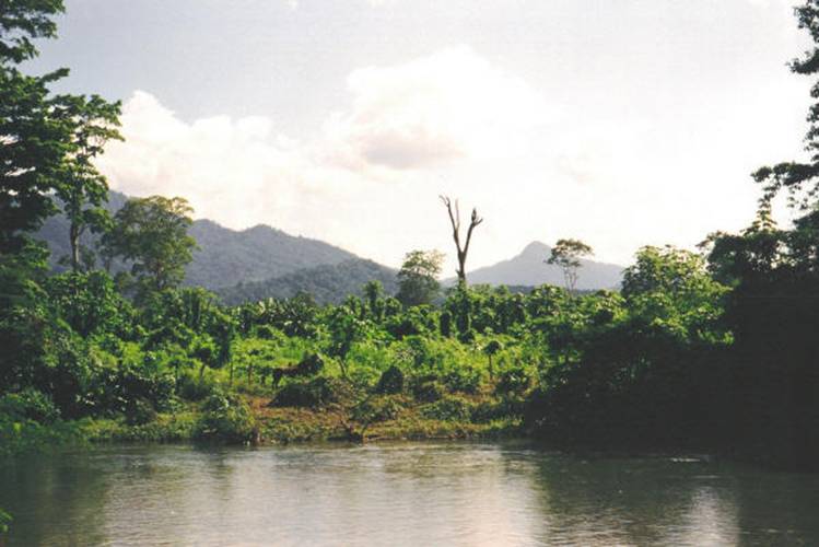 http://www.mikeaustin.org/blog/Images%202/river_small.jpg